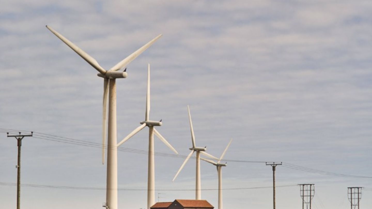 HiDubai-business-saif-al-shaer-elevators-and-solar-energy-b2b-services-distributors-wholesalers-umm-ramool-dubai