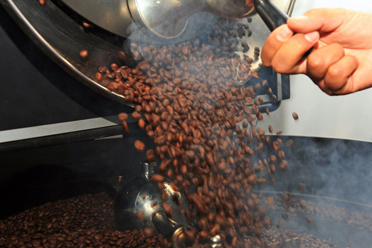 HiDubai-business-infusion-roastery-b2b-services-food-stuff-trading-trade-centre-1-dubai