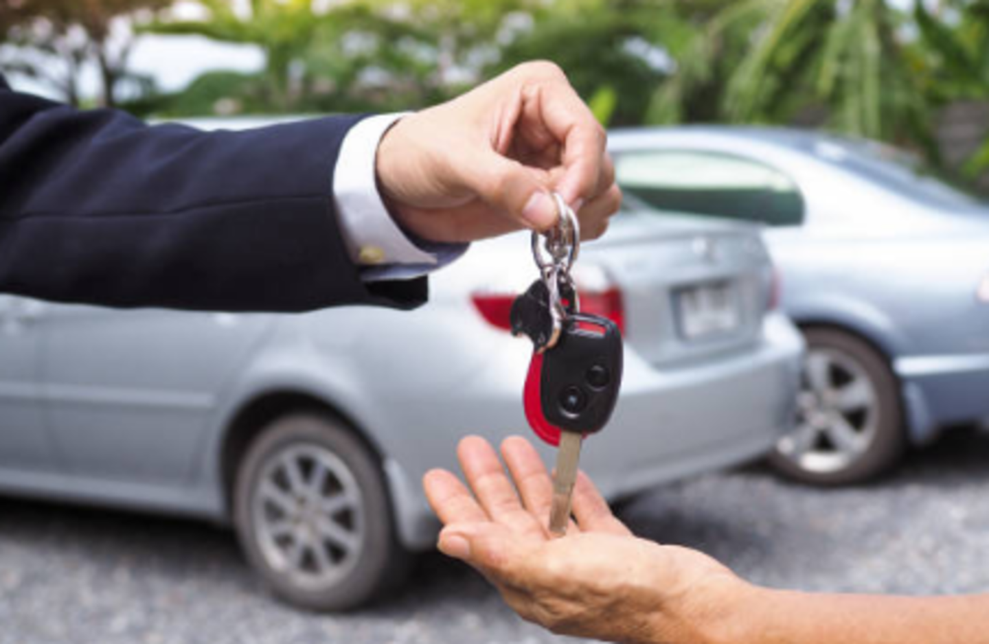 HiDubai-business-holy-land-car-rental-transport-vehicle-services-car-rental-services-port-saeed-dubai