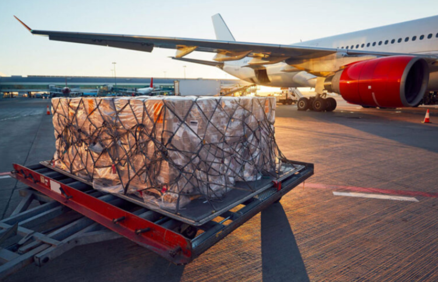 HiDubai-business-f-m-c-g-sourcing-general-trading-l-l-c-shipping-logistics-air-cargo-services-dubai-investment-park-2-dubai