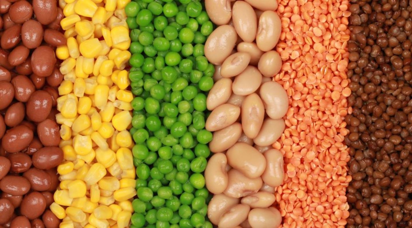 HiDubai-business-khk-foodstuff-trading-b2b-services-food-stuff-trading-al-fahidi-al-souq-al-kabeer-dubai