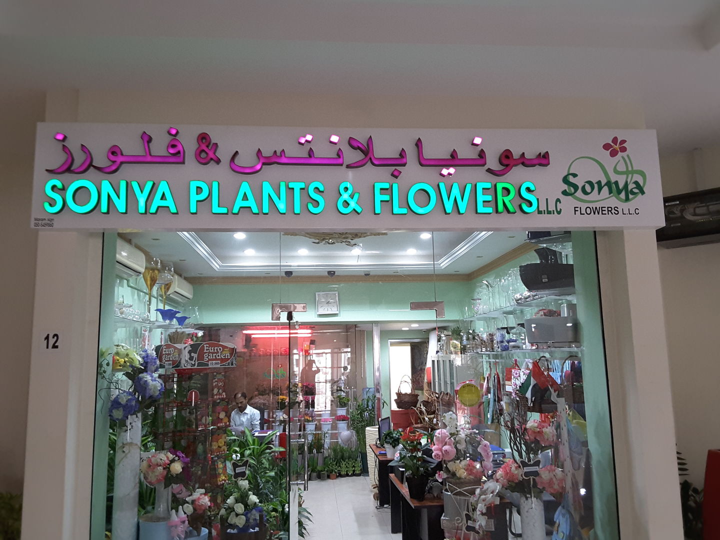 HiDubai-business-sonya-plants-flowers-animals-pets-plants-plants-gardening-stores-al-wuheida-dubai-2