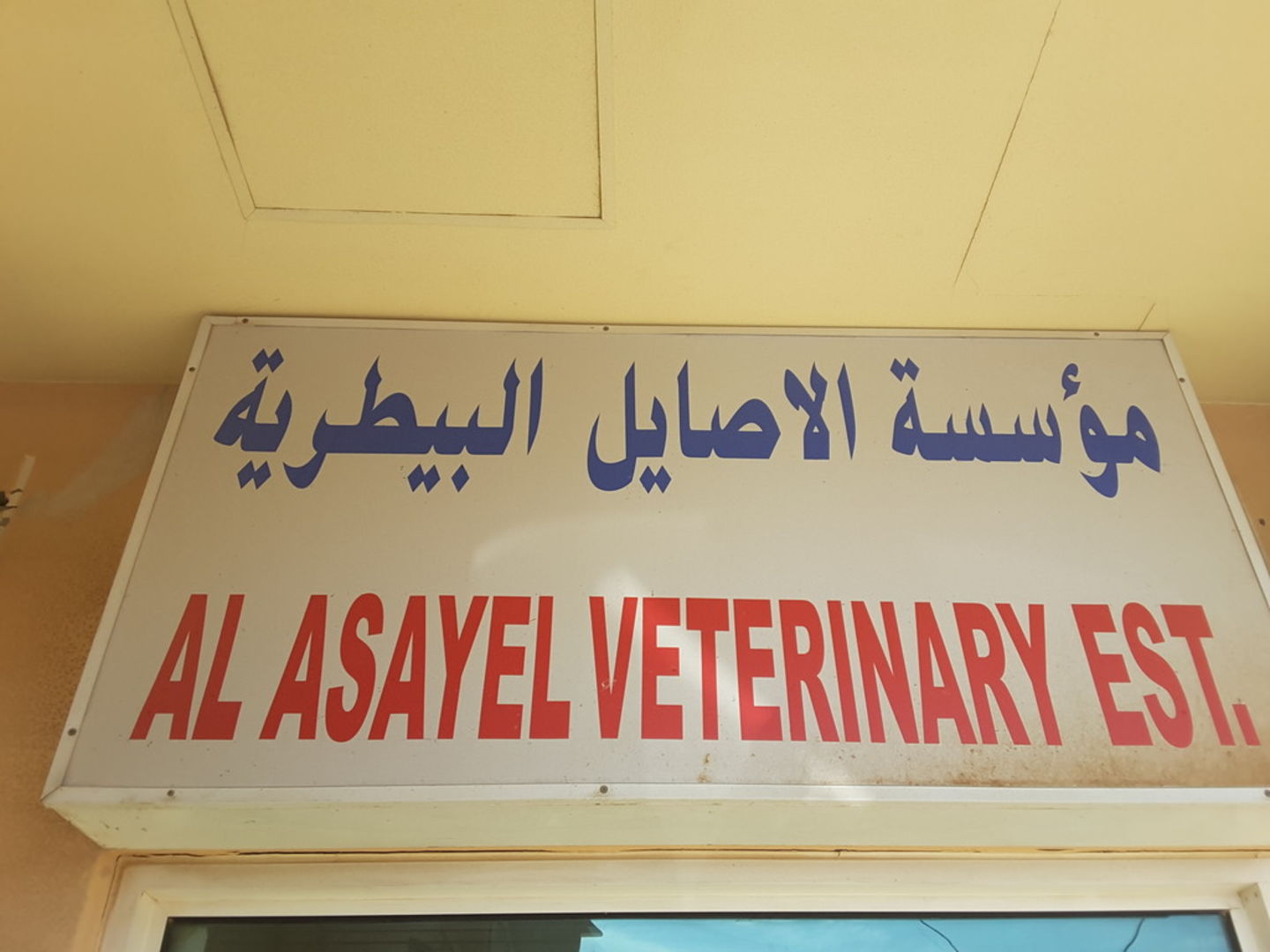 HiDubai-business-al-asayel-veterinary-animals-pets-plants-pet-clinics-vets-margham-dubai-2