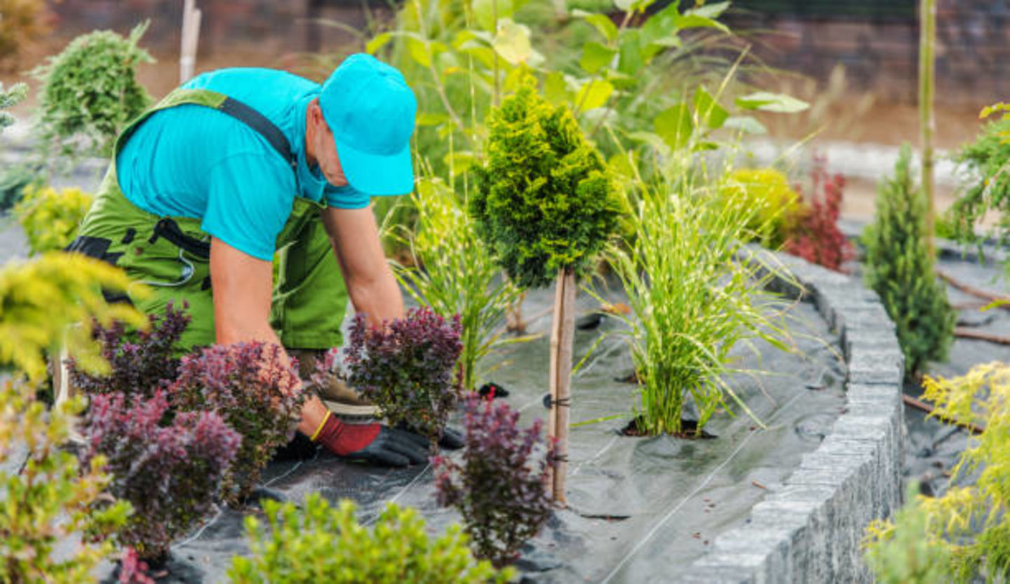 HiDubai-business-al-rameem-interior-decoration-works-building-maintenance-home-gardening-landscaping-meena-bazar-al-souq-al-kabeer-dubai