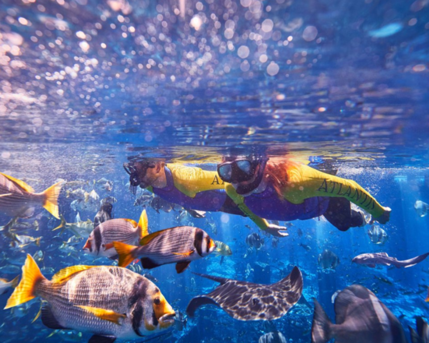 HiDubai-business-travel-saga-hotels-tourism-local-tours-activities-al-wasl-dubai