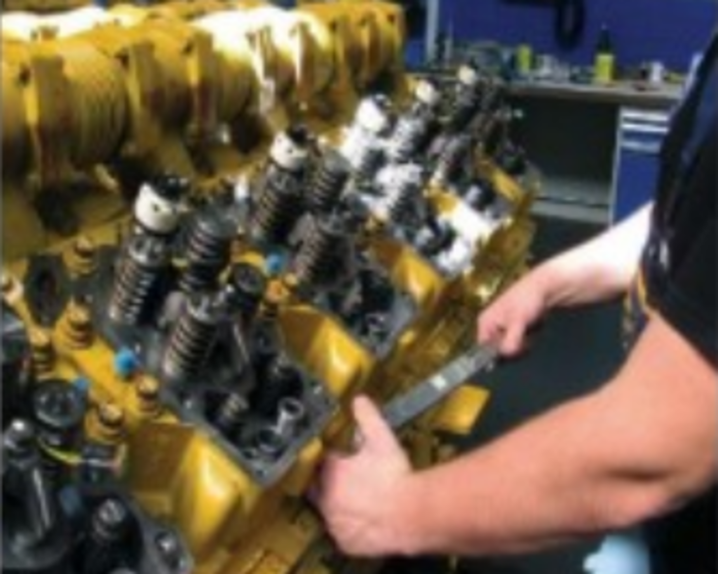 HiDubai-business-pyramids-marine-services-shipping-logistics-marine-services-madinat-dubai-dubai