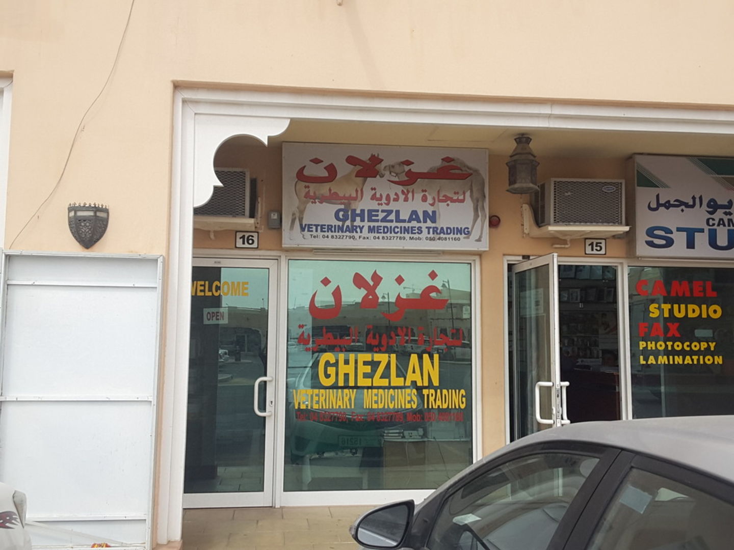 HiDubai-business-ghezlan-veterinary-medicines-trading-animals-pets-plants-pet-clinics-vets-margham-dubai-2