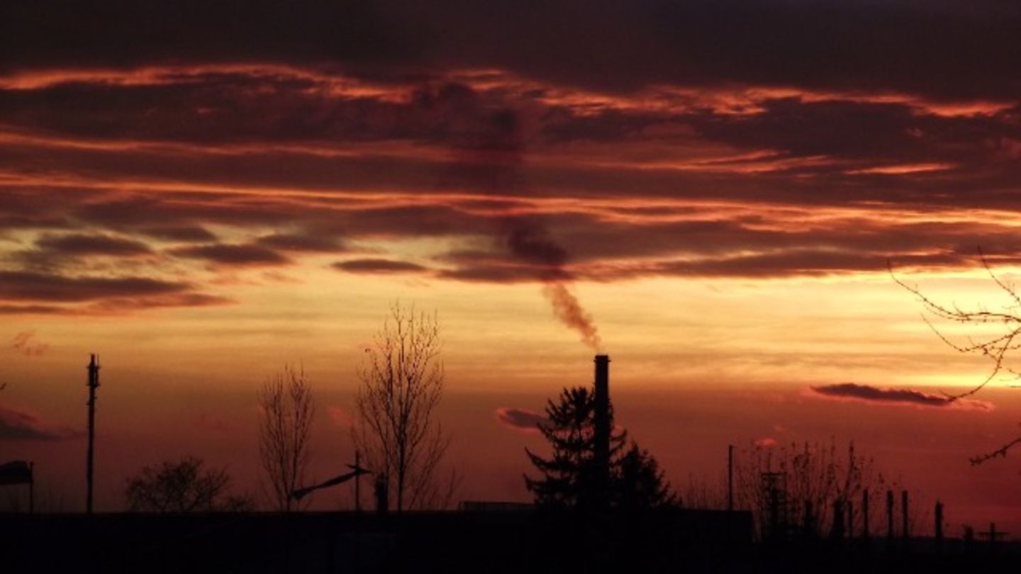 HiDubai-business-golden-lake-gold-factory-shopping-jewellery-precious-stones-al-khabaisi-dubai