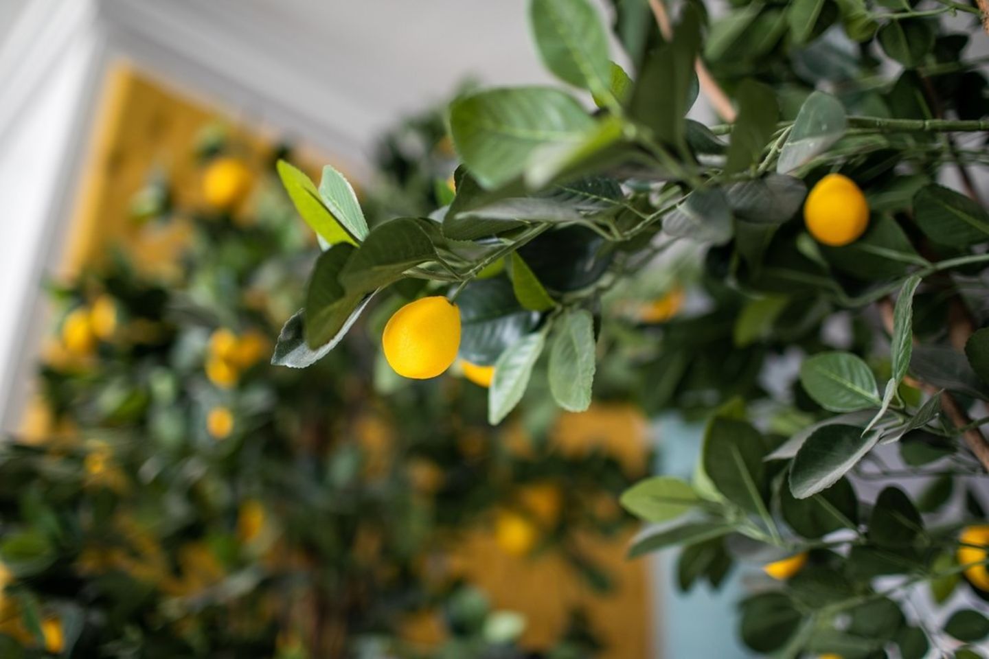 Vero Restaurant(Restaurants & Bars) in Jumeirah Beach Residence (Marsa