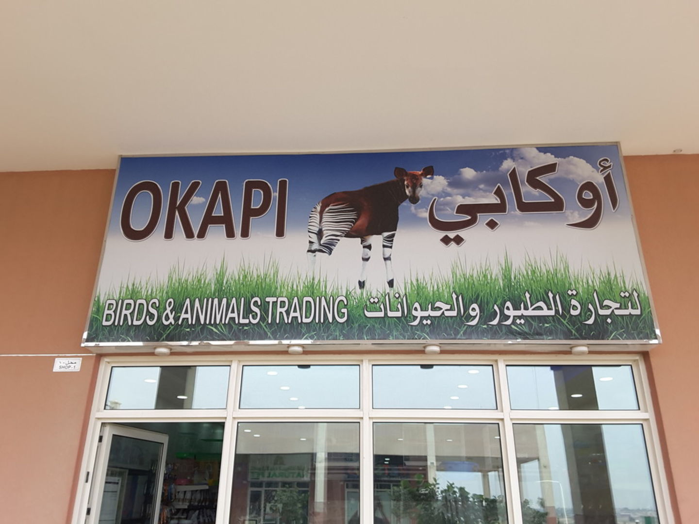 HiDubai-business-okapi-birds-and-animals-trading-animals-pets-plants-animal-breeding-centres-warsan-3-dubai-2