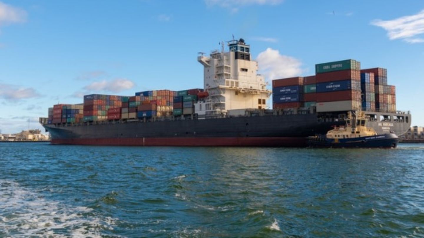 HiDubai-business-bda-shipping-shipping-logistics-sea-cargo-services-ras-al-khor-industrial-1-dubai