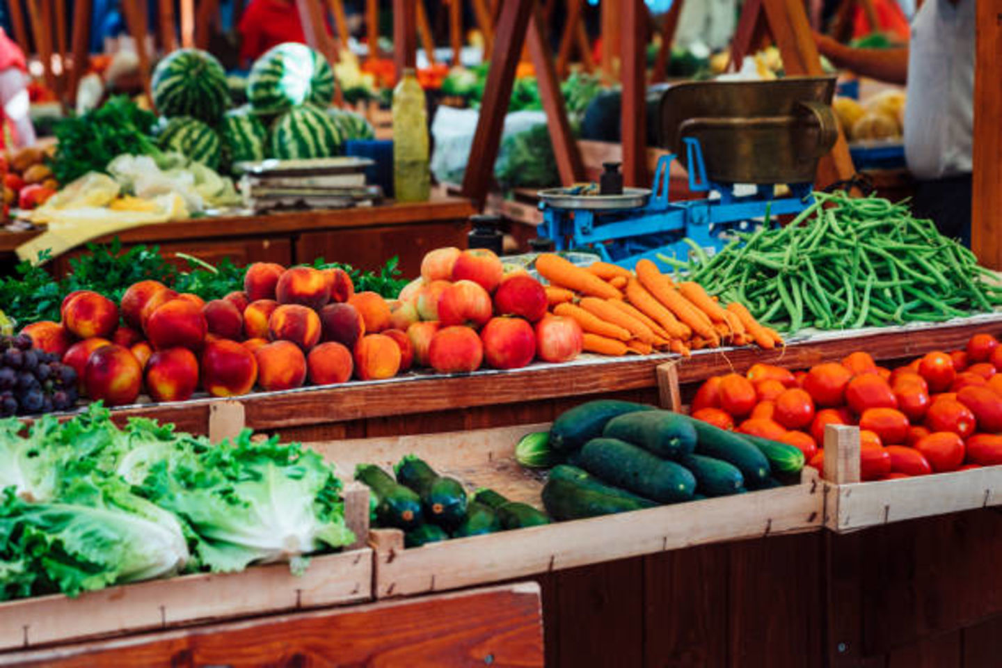 HiDubai-business-naturz-agrico-general-trading-b2b-services-food-stuff-trading-ras-al-khor-industrial-3-dubai