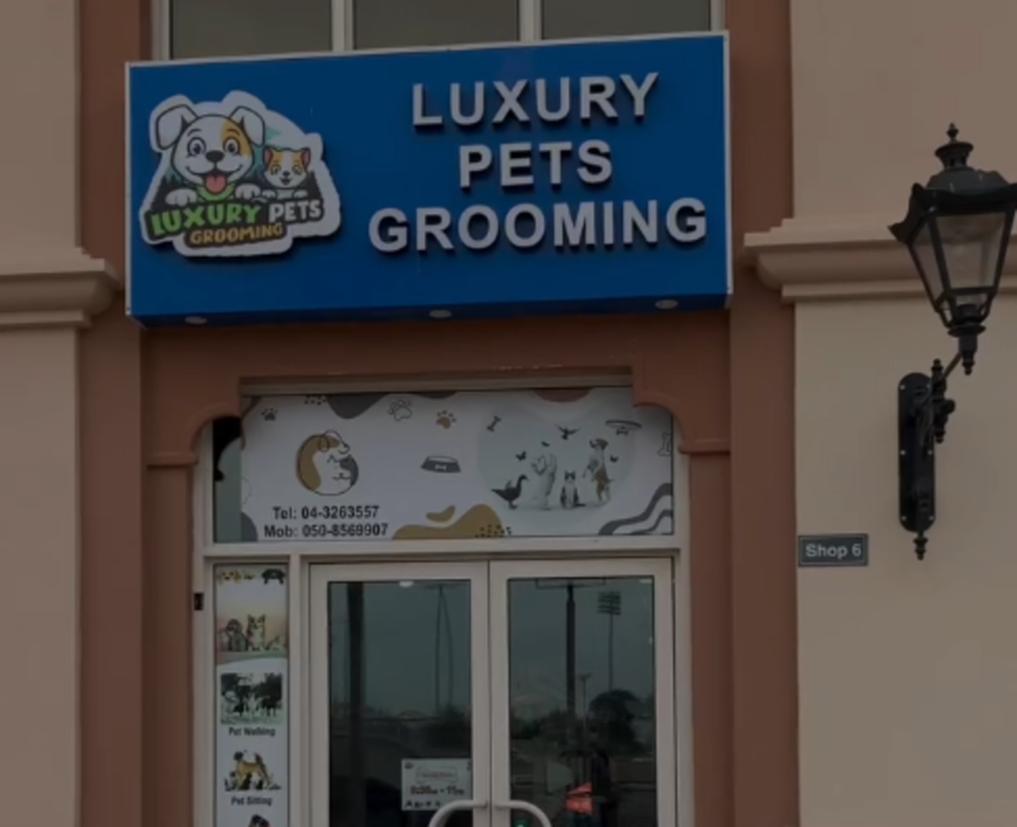 HiDubai-business-luxury-pets-grooming-animals-pets-plants-pet-grooming-centres-dubai-sports-city-al-hebiah-4-dubai