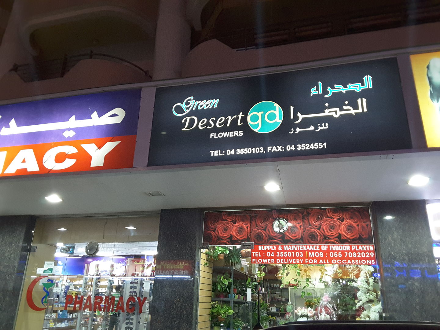 HiDubai-business-green-desert-flowers-animals-pets-plants-plants-gardening-stores-al-raffa-al-raffa-dubai-2