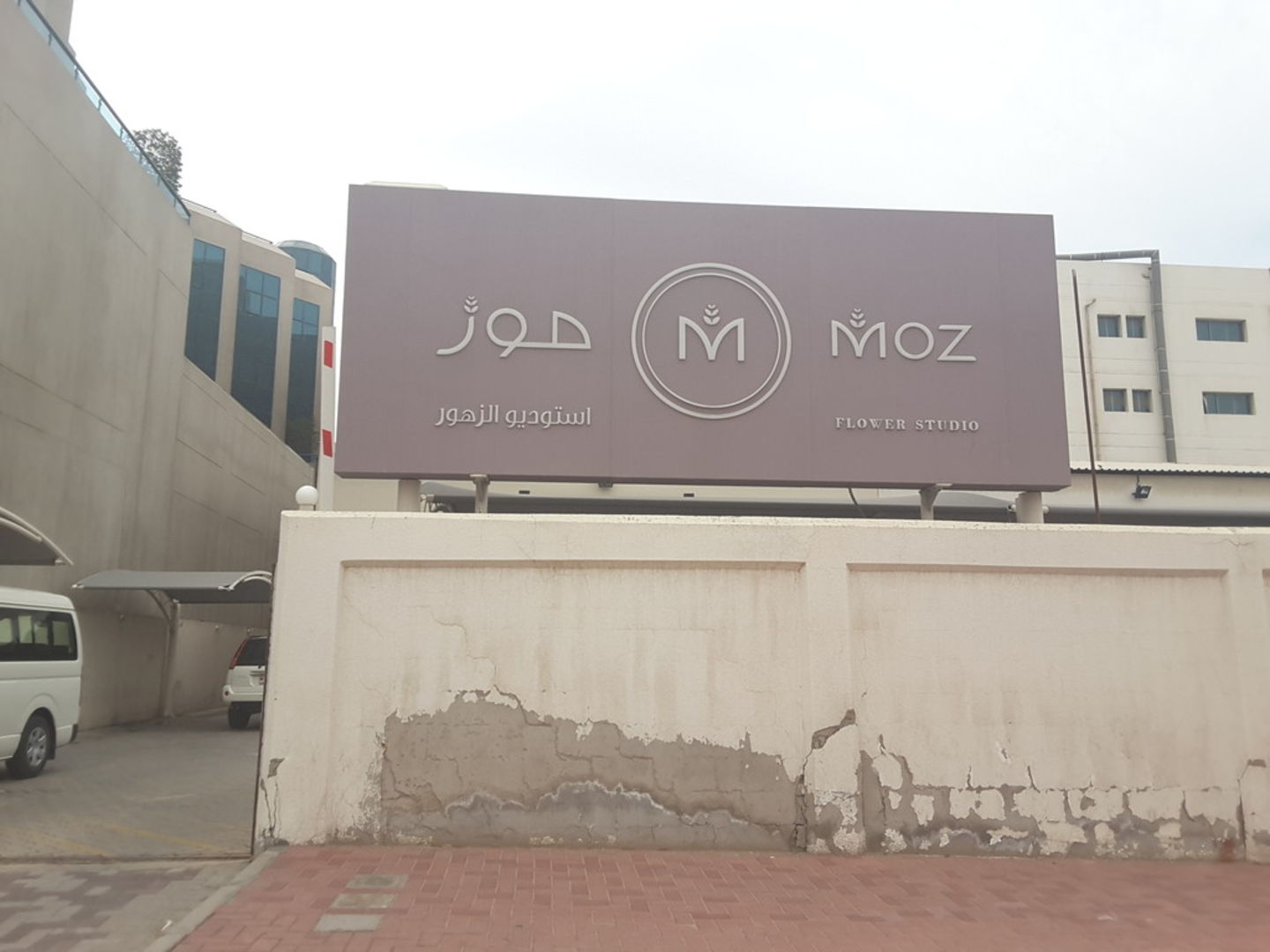 HiDubai-business-moz-flowers-animals-pets-plants-plants-gardening-stores-al-garhoud-dubai-2