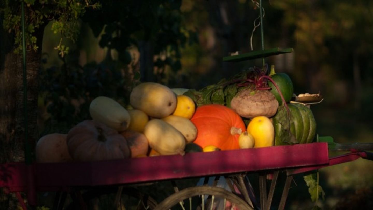 HiDubai-business-al-aweer-star-foodstuff-trading-b2b-services-distributors-wholesalers-ras-al-khor-industrial-3-dubai