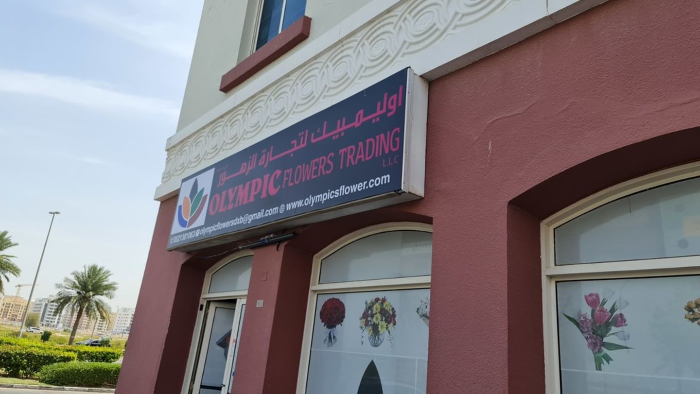 HiDubai-business-olympic-flowers-trading-animals-pets-plants-plants-gardening-stores-international-city-warsan-1-dubai