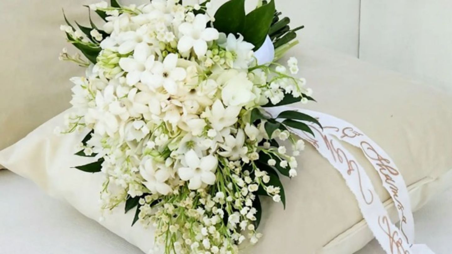 HiDubai-business-miaj-boutique-flowers-animals-pets-plants-plants-gardening-stores-umm-suqeim-3-dubai