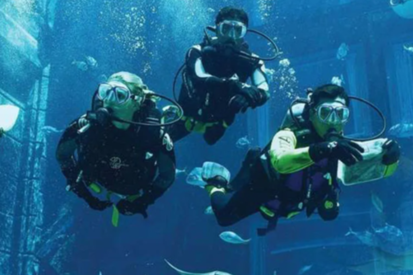 HiDubai-business-saadi-travels-tourism-company-hotels-tourism-local-tours-activities-barsha-heights-tecom-dubai