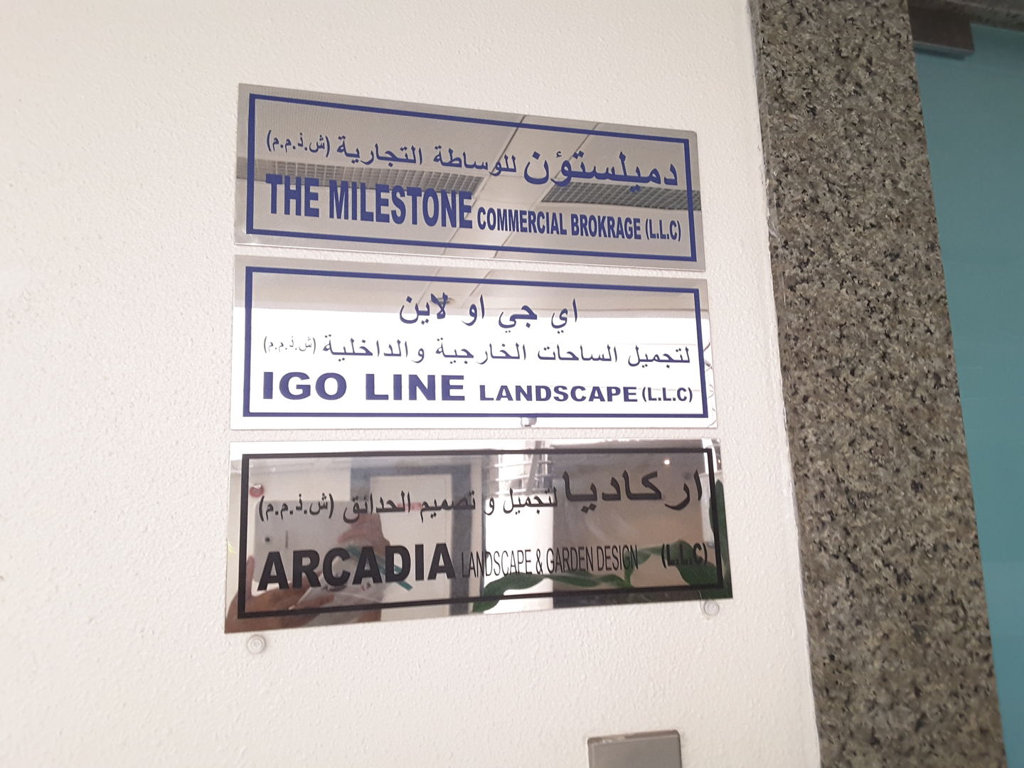 HiDubai-business-igo-line-landscape-home-gardening-landscaping-al-garhoud-dubai-2