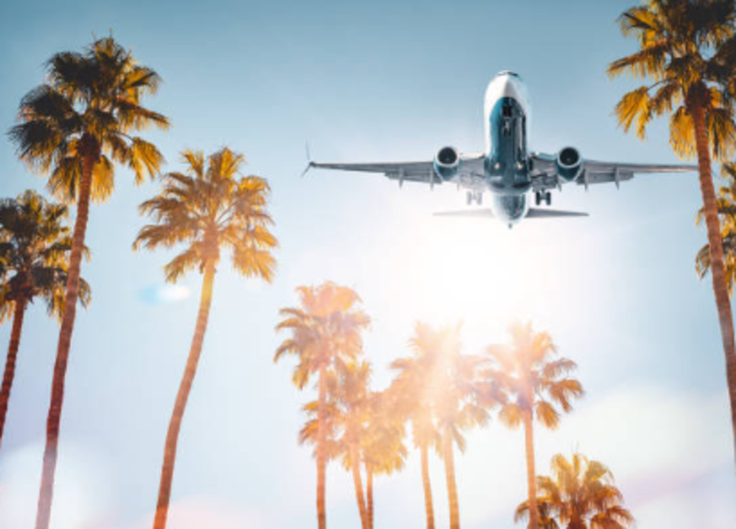 HiDubai-business-jmd-tourism-hotels-tourism-travel-ticketing-agencies-business-bay-dubai