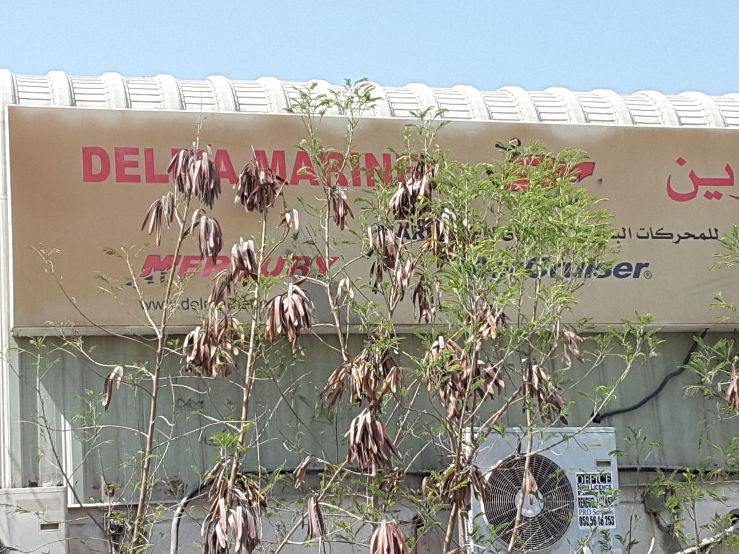 HiDubai-business-delma-marine-construction-heavy-industries-heavy-equipment-machinery-al-quoz-industrial-1-dubai-2