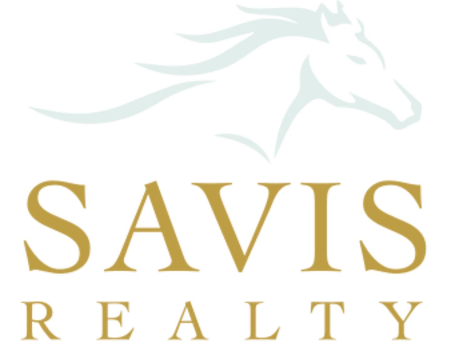 HiDubai-business-savis-properties-housing-real-estate-real-estate-agencies-al-barsha-1-dubai