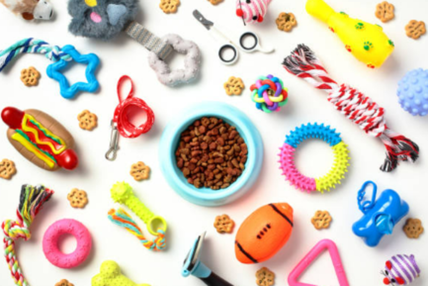 HiDubai-business-aqua-pet-care-animals-pets-plants-pet-food-accessories-stores-warsan-3-dubai