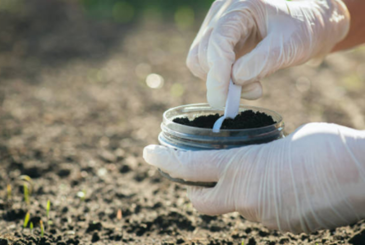 HiDubai-business-hassan-al-amir-soil-analysis-construction-heavy-industries-chemical-metal-companies-al-quoz-industrial-3-dubai