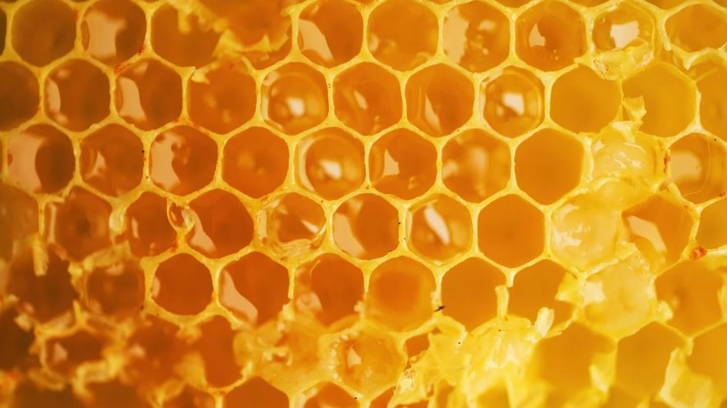 HiDubai-business-al-fakher-honey-food-beverage-bakeries-desserts-sweets-al-barsha-south-2-dubai