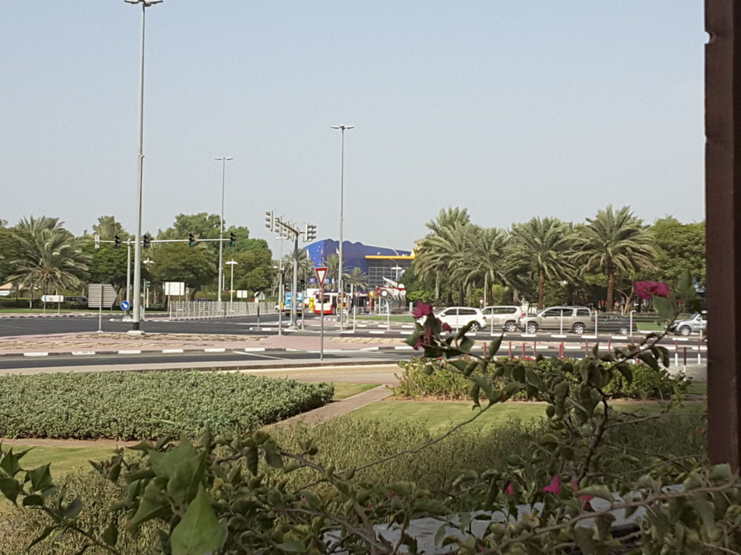 HiDubai-business-dubai-dolphinarium-leisure-culture-circus-zoo-dubai-healthcare-city-umm-hurair-2-dubai-2