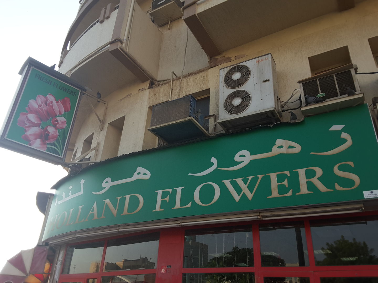 HiDubai-business-holland-flowers-shopping-garden-outdoor-al-rigga-dubai-2