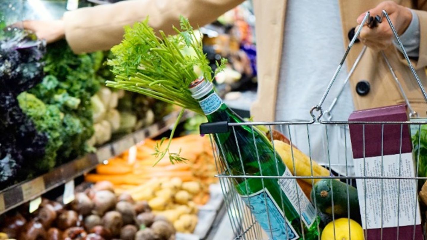 HiDubai-business-levant-grove-b2b-services-food-stuff-trading-jumeirah-beach-residence-marsa-dubai-dubai