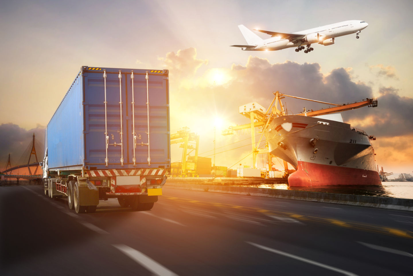 HiDubai-business-blue-bird-packaging-shipping-logistics-packaging-services-umm-ramool-dubai