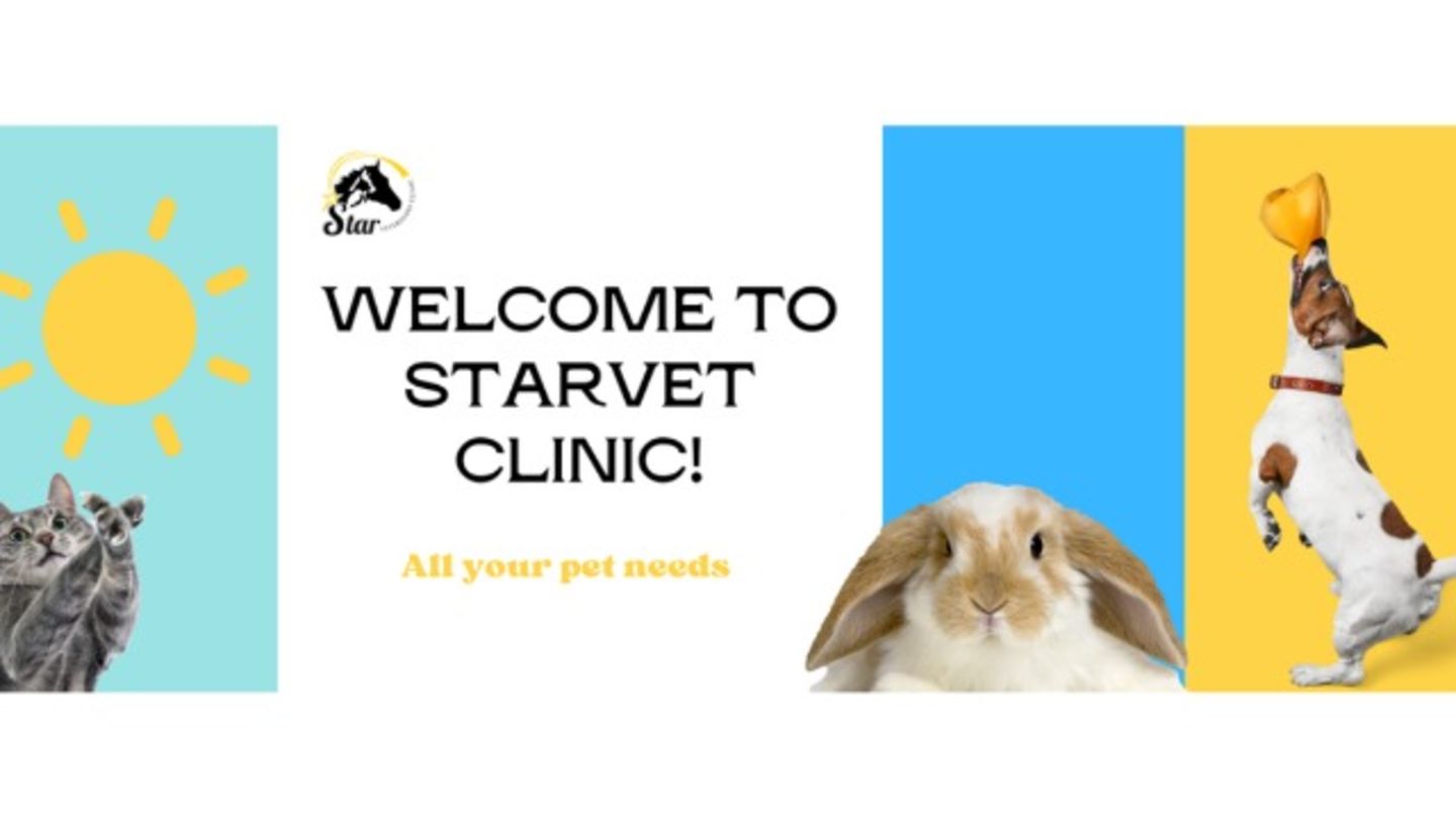 HiDubai-business-star-veterinary-clinic-animals-pets-plants-pet-clinics-vets-layan-community-wadi-al-safa-7-dubai