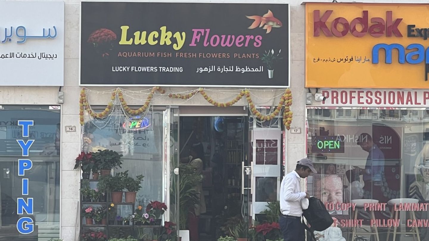 HiDubai-business-lucky-flowers-animals-pets-plants-plants-gardening-stores-al-karama-dubai