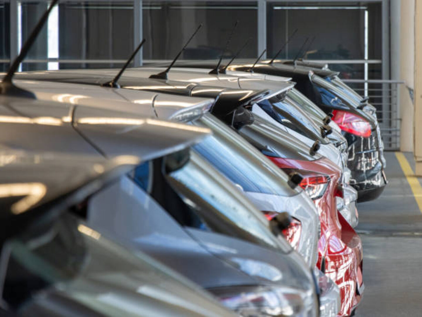 HiDubai-business-shift-car-rental-leasing-transport-vehicle-services-car-rental-services-jebel-ali-free-zone-mena-jebel-ali-dubai