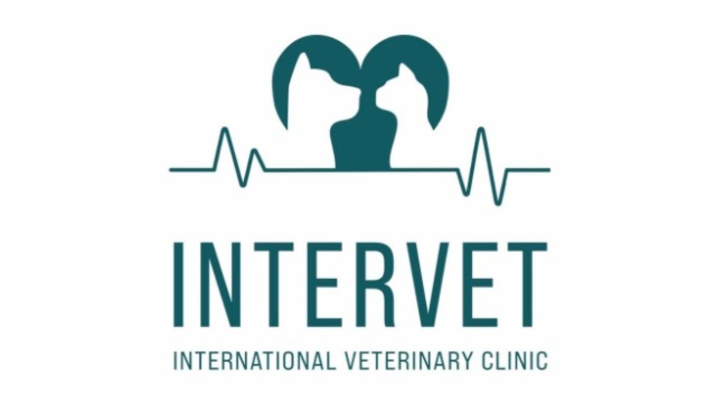 HiDubai-business-intervet-veterinary-clinic-animals-pets-plants-pet-clinics-vets-umm-suqeim-2-dubai