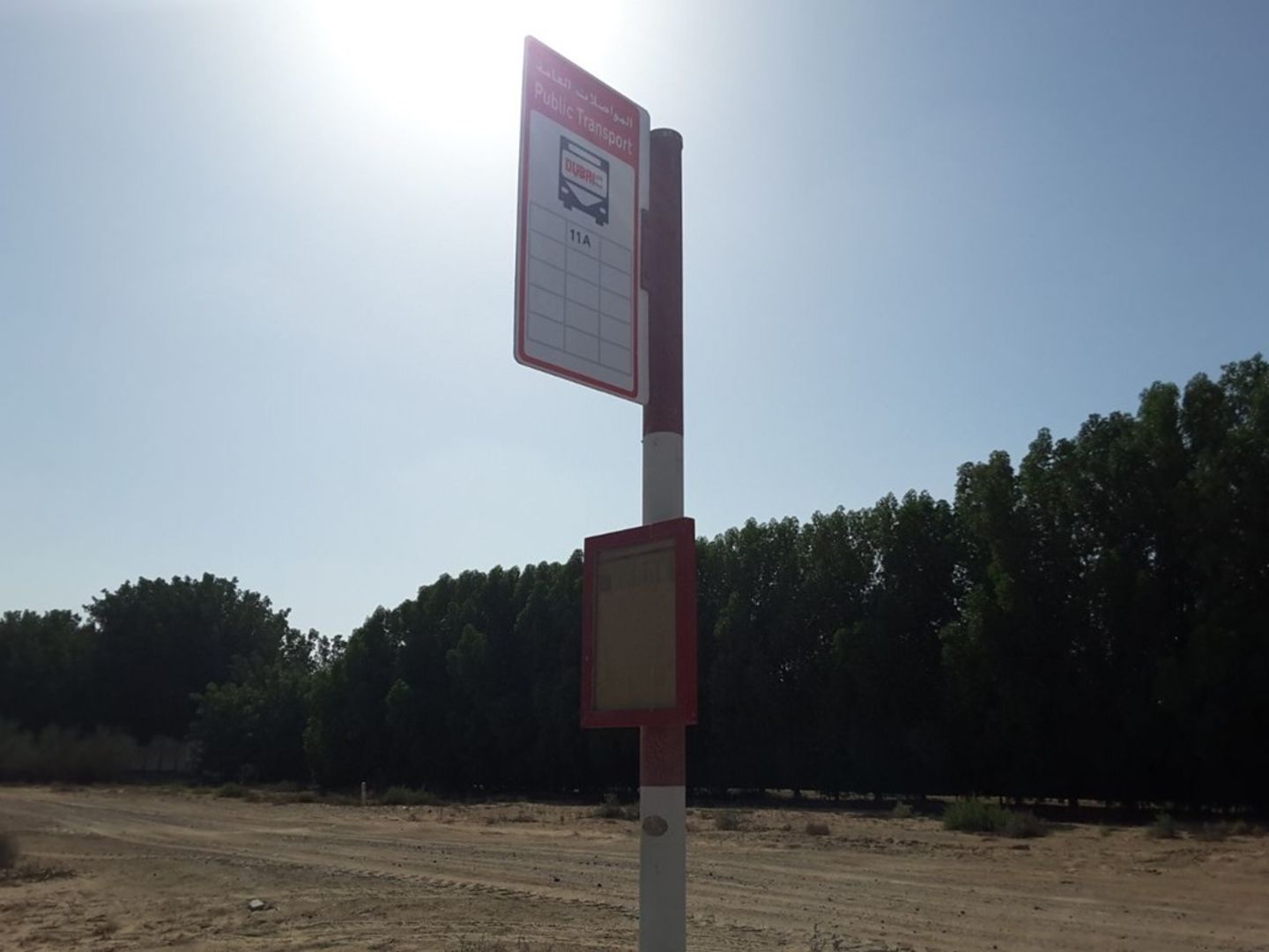 HiDubai-business-rawabi-dairy-crossing-1-bus-stop-transport-vehicle-services-public-transport-mushrif-dubai-2