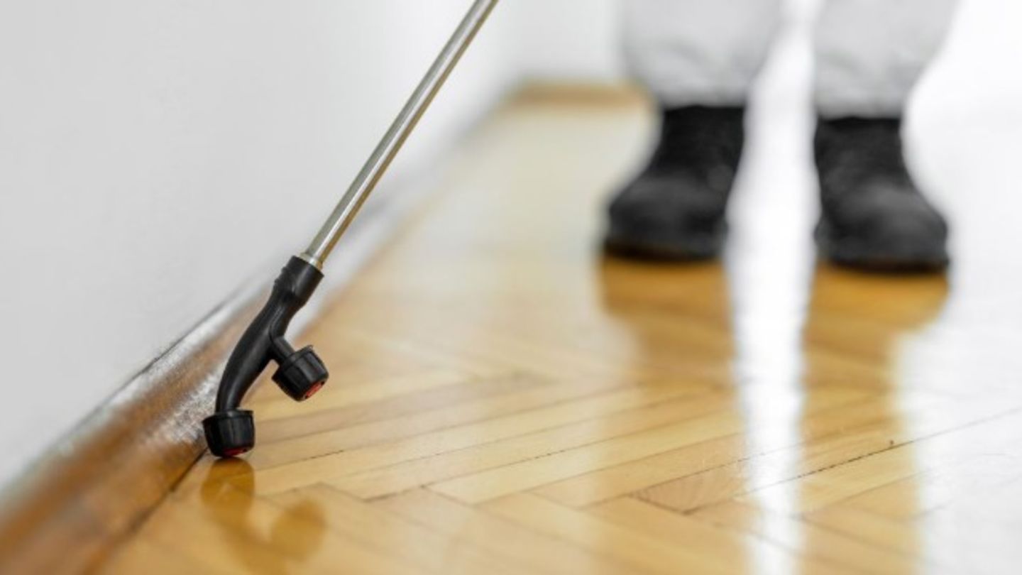 Yalla Pest Control(Pest Control & Disinfection Services) in Al Karama