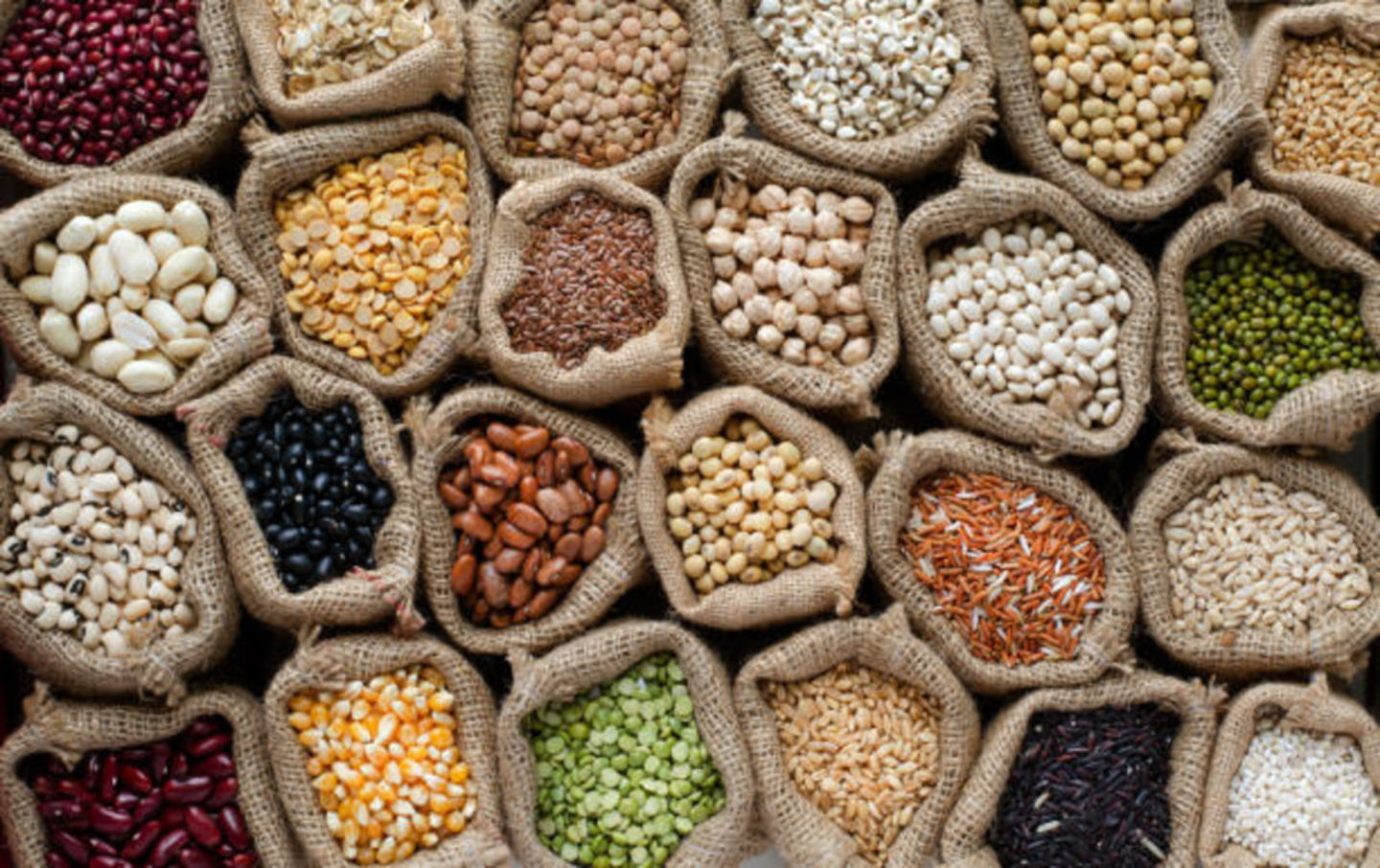 HiDubai-business-promisence-general-trading-b2b-services-food-stuff-trading-al-qusais-2-dubai