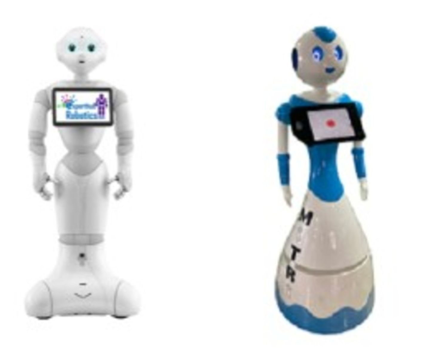 HiDubai-business-expert-hub-new-economy-robotics-trade-centre-2-dubai