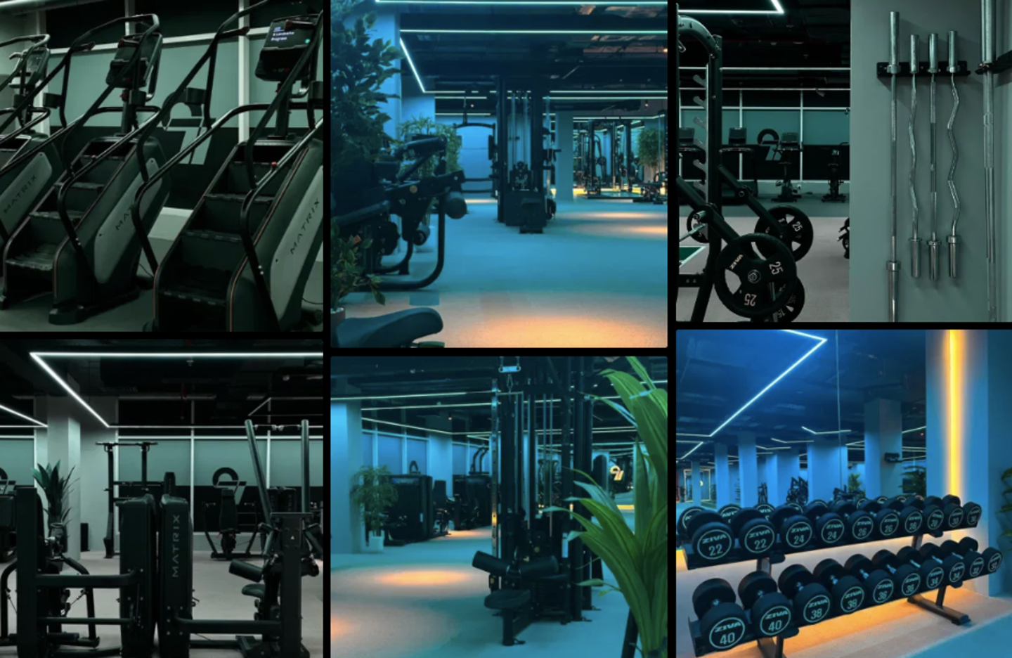 HiDubai-business-971-ladies-fitness-club-sports-fitness-gyms-fitness-centres-pools-ras-al-khor-industrial-2-dubai