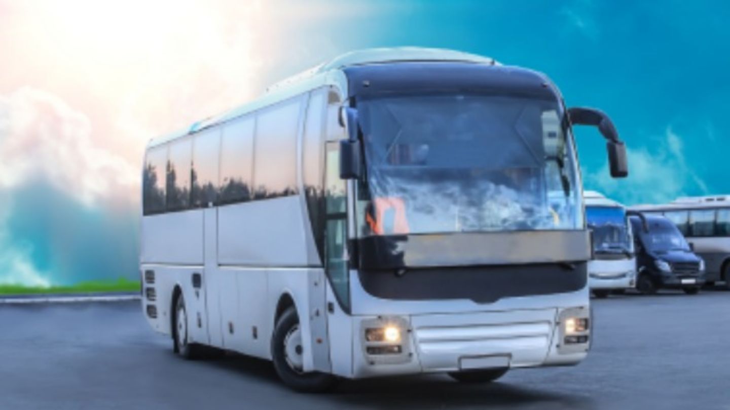 HiDubai-business-hoorain-al-meezan-passengers-transport-by-rented-buses-transport-vehicle-services-private-transport-al-murar-dubai
