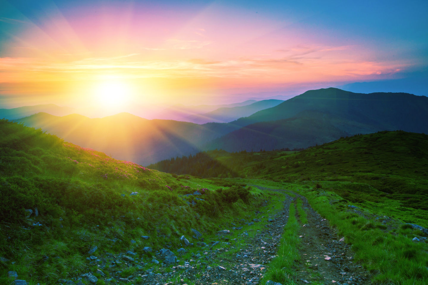 HiDubai-business-lumas-middle-east-vocational-services-art-photography-services-al-wasl-dubai-2