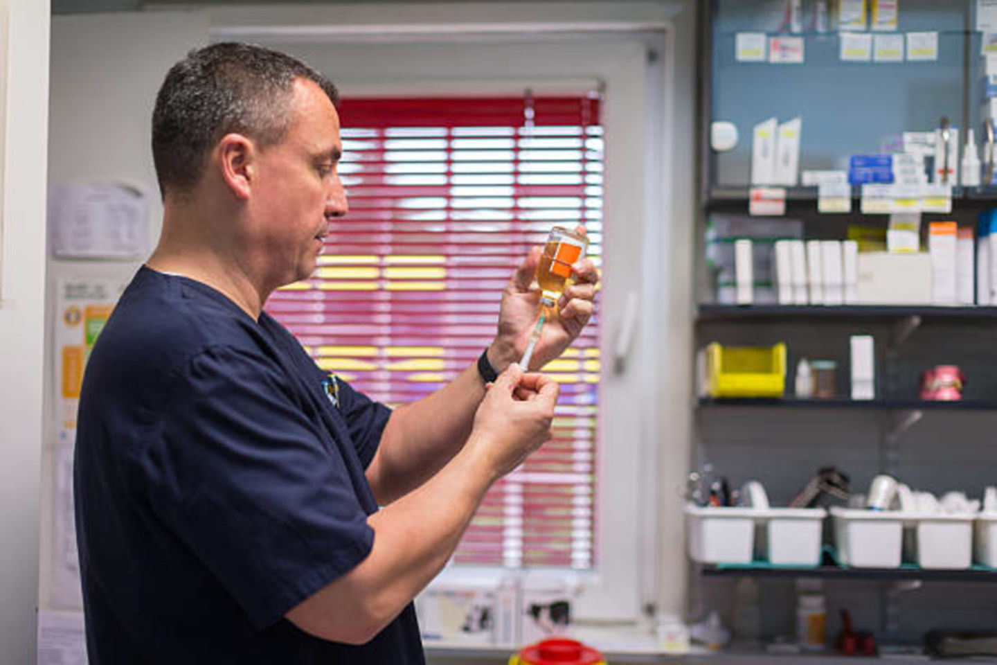 HiDubai-business-al-noor-veterinary-medicines-trading-animals-pets-plants-pet-clinics-vets-international-city-warsan-1-dubai