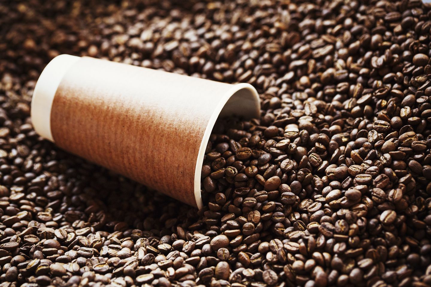 HiDubai-business-resolute-group-b2b-services-distributors-wholesalers-al-muraqqabat-dubai