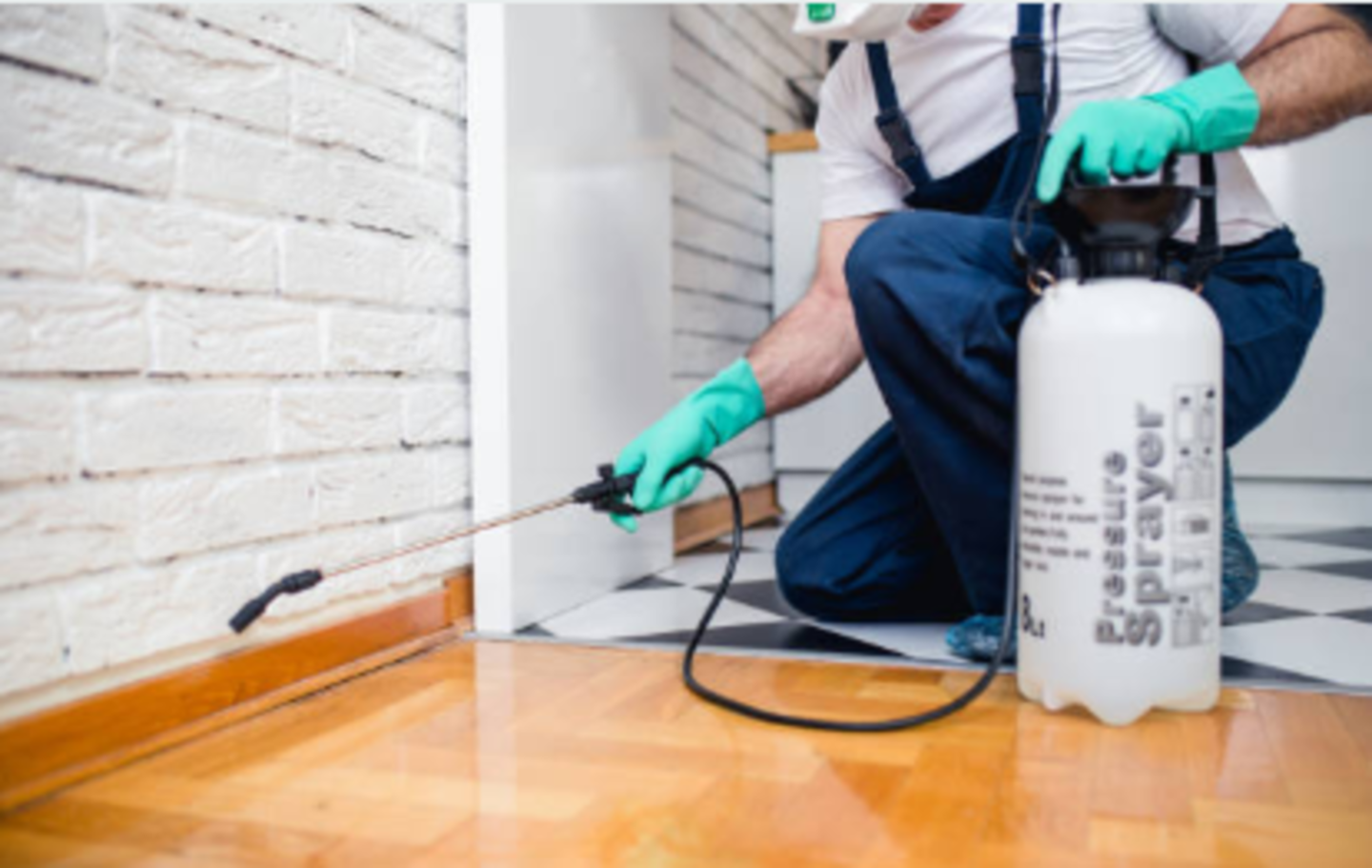 HiDubai-business-best-choice-pest-control-home-pest-control-disinfection-services-al-rigga-dubai