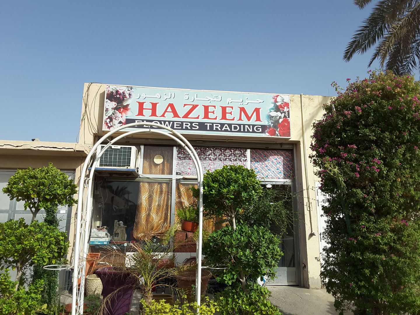 HiDubai-business-hazeem-flowers-trading-animals-pets-plants-plants-gardening-stores-umm-suqeim-2-dubai-2