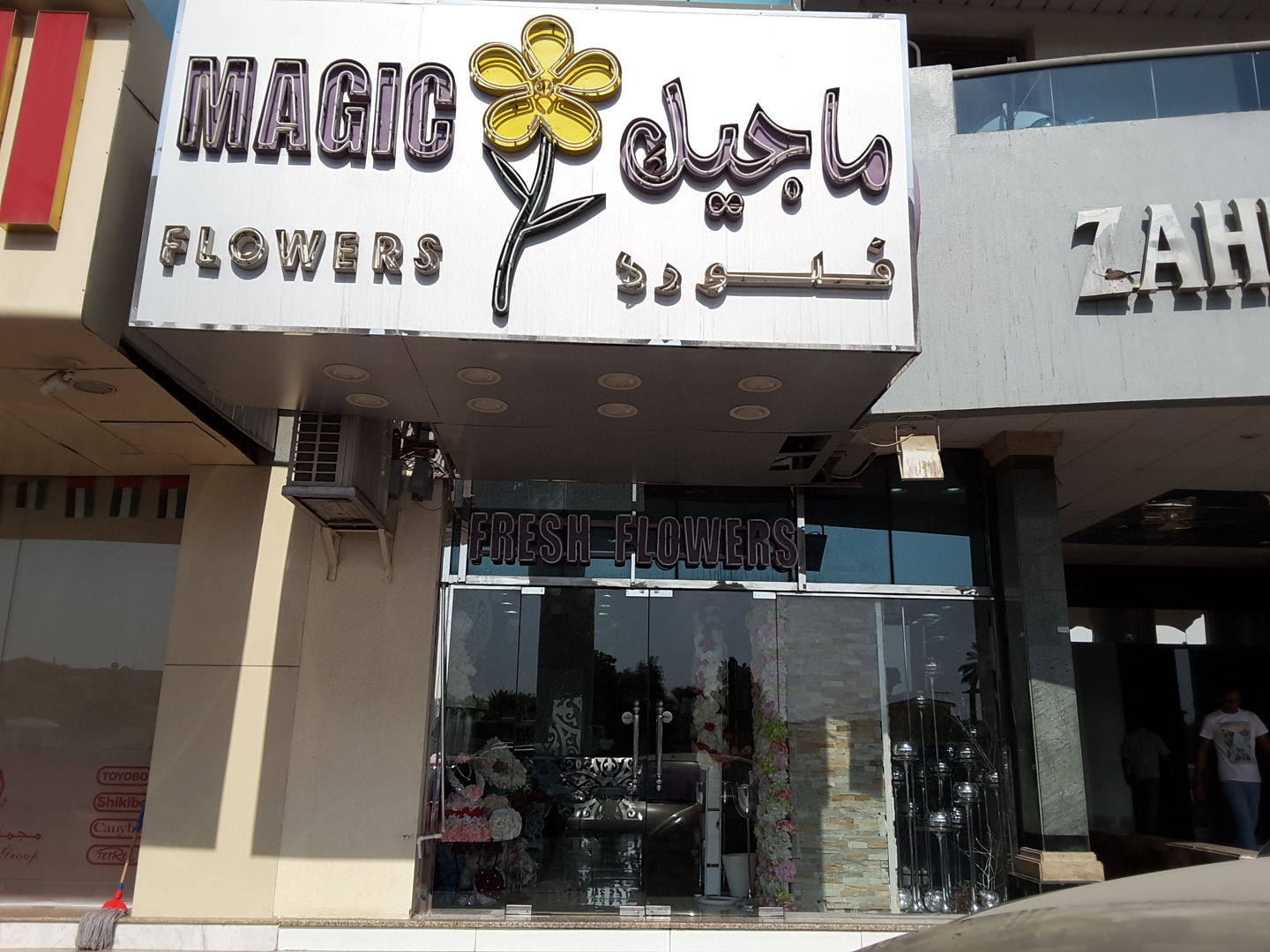 HiDubai-business-magic-flowers-animals-pets-plants-plants-gardening-stores-al-qusais-2-dubai-2
